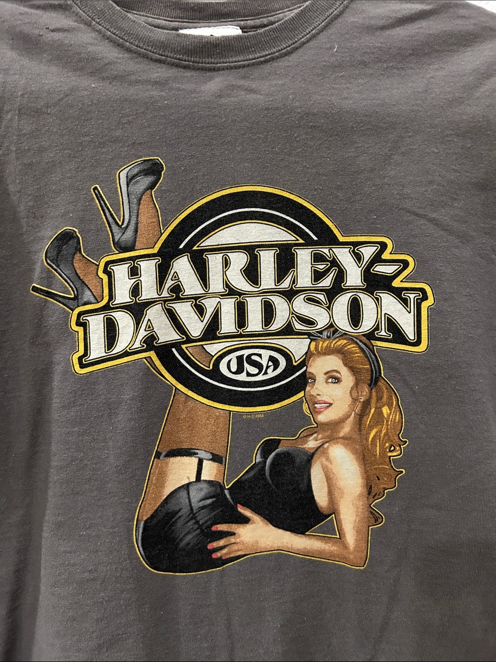 Harley-Davidson Graphic Crop Tee in Charcoal with Gold Accents - Picture 2 of 9